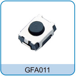 GFA011