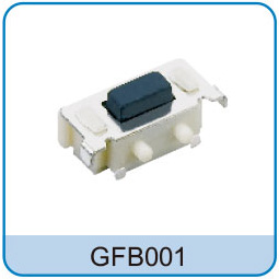 GFB001