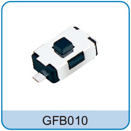 GFB010