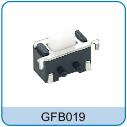 GFB019