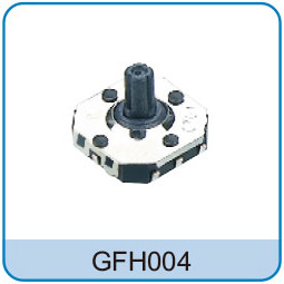 GFH004