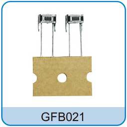 GFB021